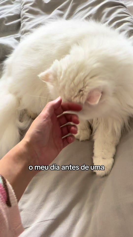TikTok video thumbnail by catarinabrito19