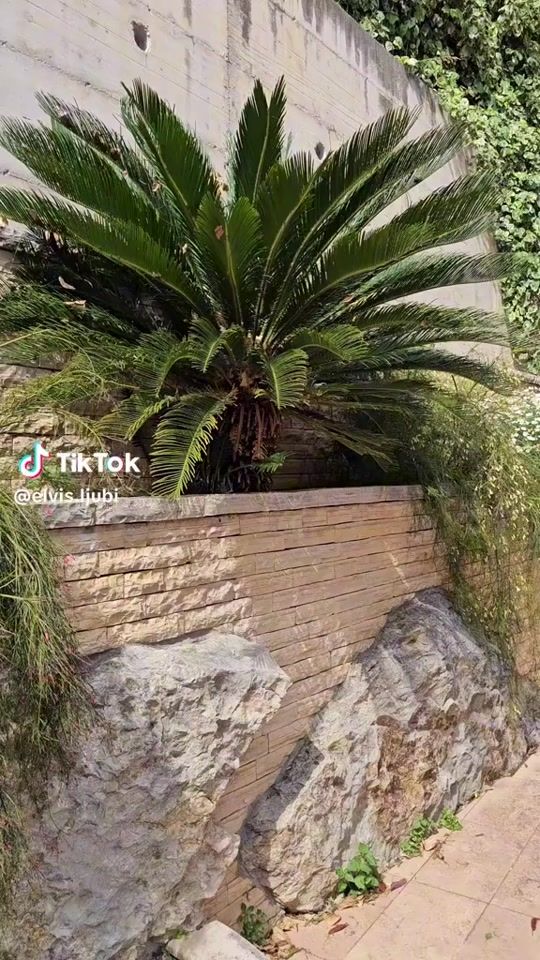 TikTok video thumbnail by tikica0