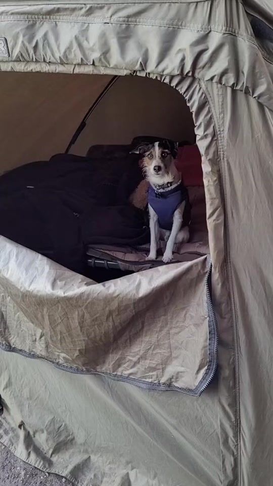 TikTok video thumbnail by carpknightrises