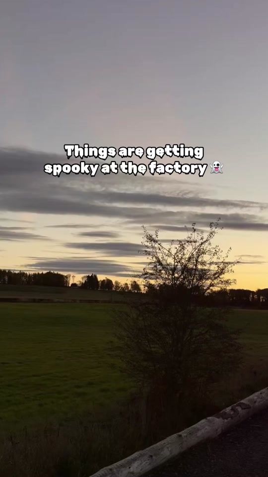 TikTok video thumbnail by taylorssnacks