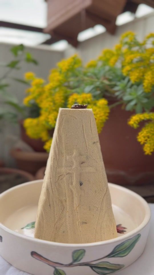 TikTok video thumbnail by tatiatchkoidze