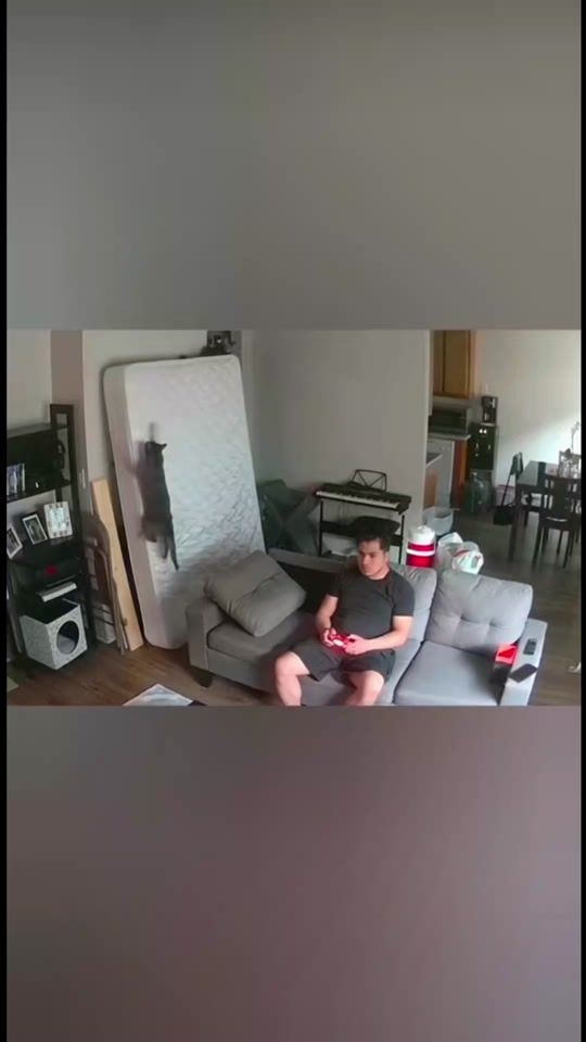 TikTok video thumbnail by fleichfresser01