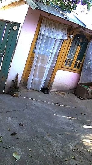 TikTok video thumbnail by sorina0102