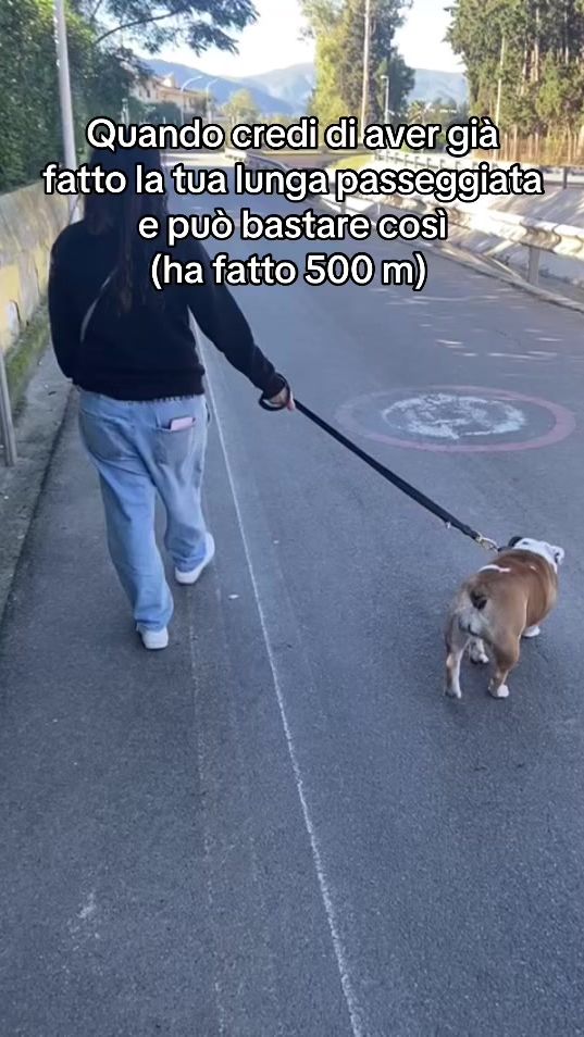 TikTok video thumbnail by guialabulla