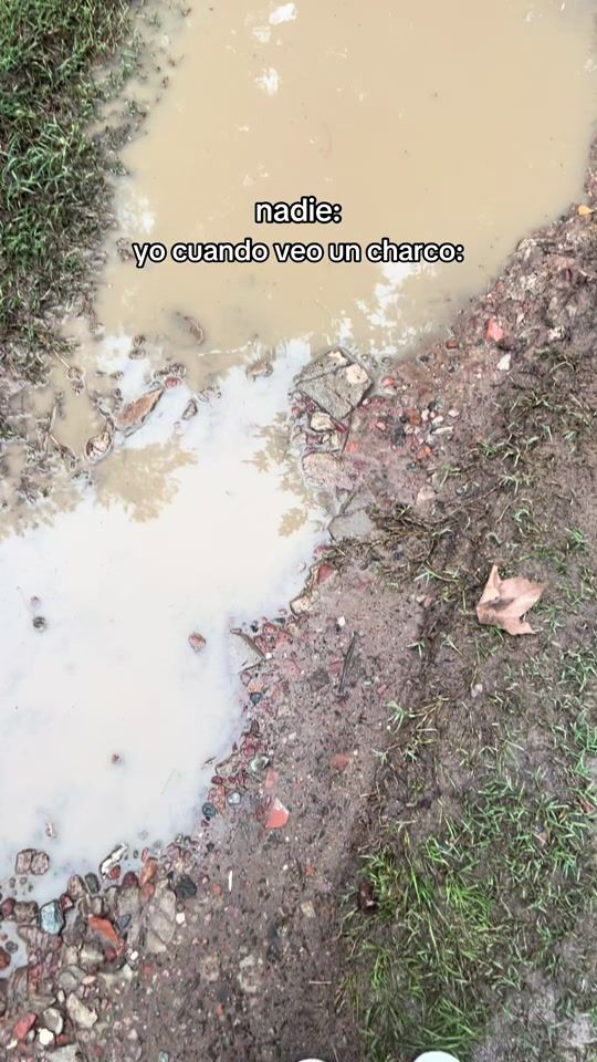 TikTok video thumbnail by sofiascuentos