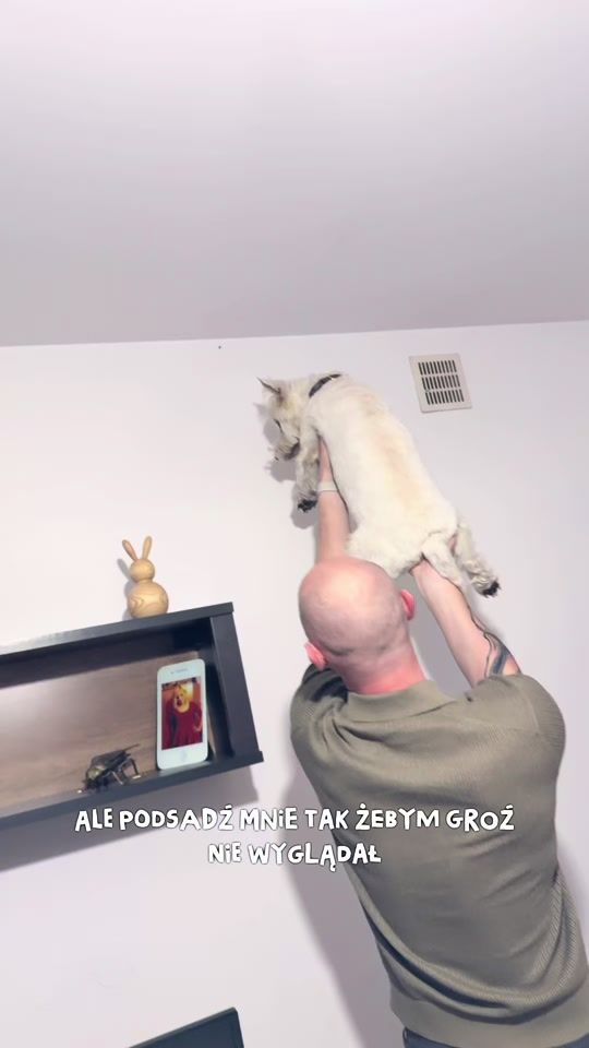 TikTok video thumbnail by pan_hektor