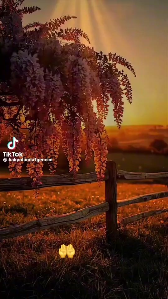 TikTok video thumbnail by rasime1290