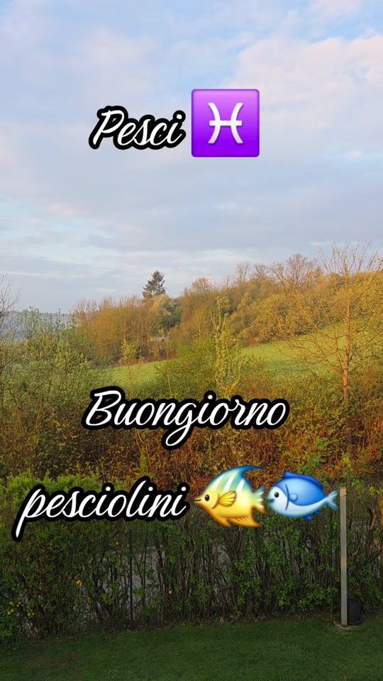 TikTok video thumbnail by carmelina990