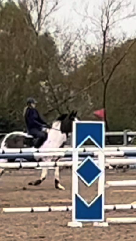 TikTok video thumbnail by urfavlankytwat