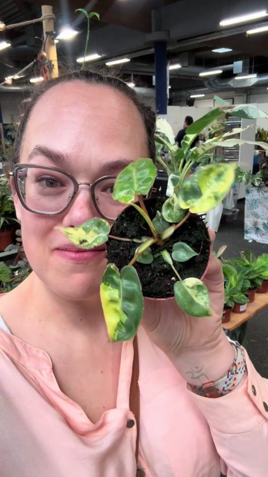 TikTok video thumbnail by plantwithroos