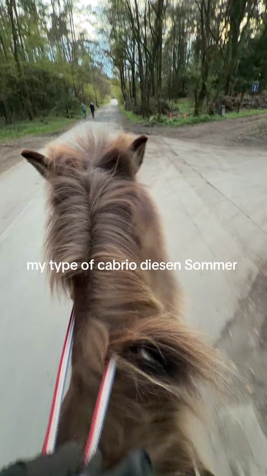 TikTok video thumbnail by _hi_its_jess