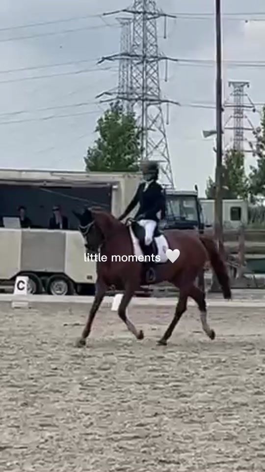 TikTok video thumbnail by horsiesssss2