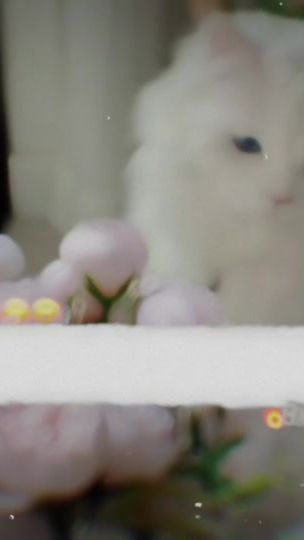 TikTok video thumbnail by original_zeesho