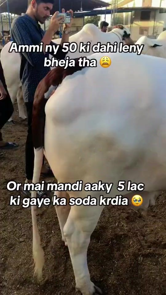 TikTok video thumbnail by tahaa._.00