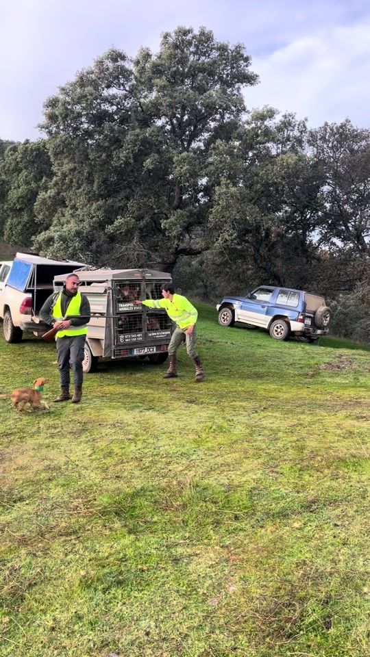 TikTok video thumbnail by antoniohj006