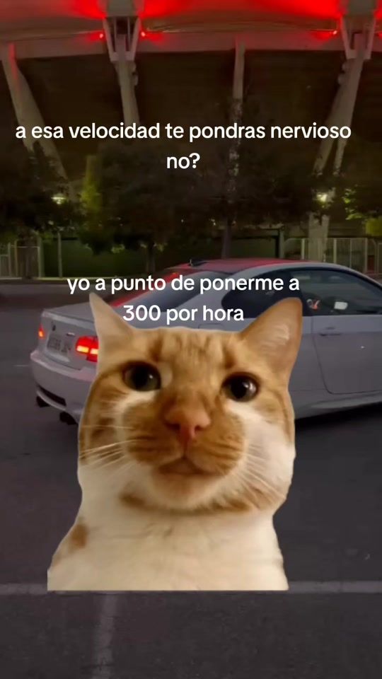 TikTok video thumbnail by biel71m