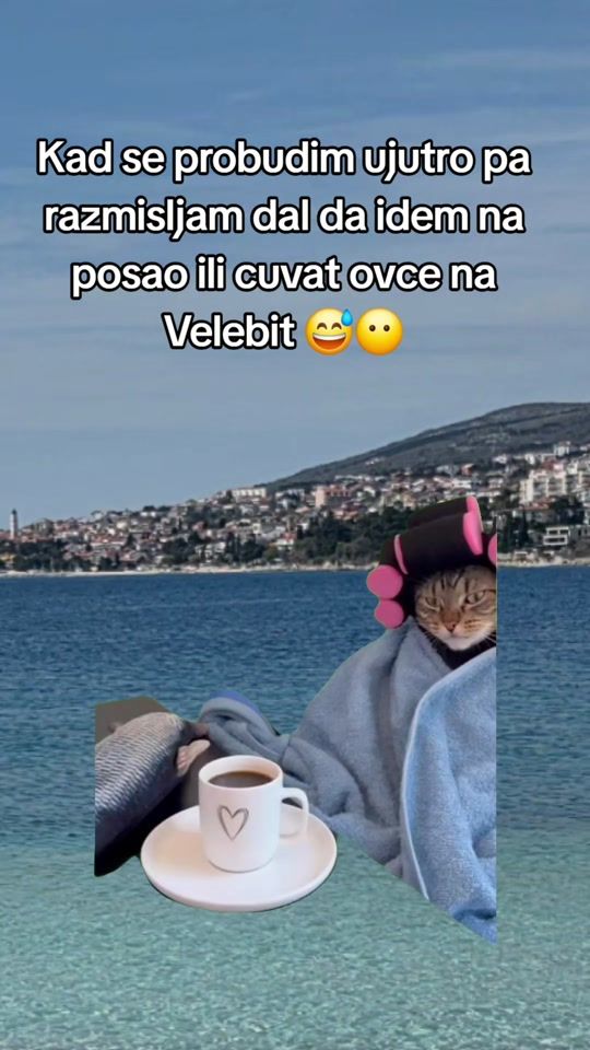 TikTok video thumbnail by mrs_.b