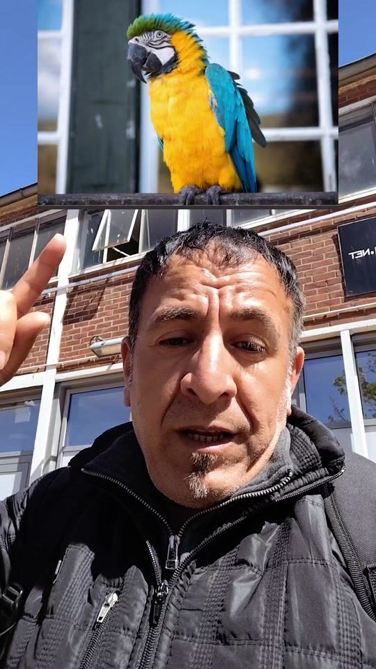TikTok video thumbnail by kandilabas