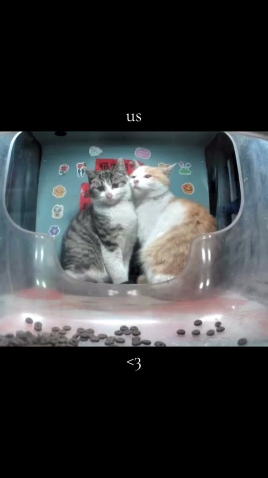 TikTok video thumbnail by jooooyie