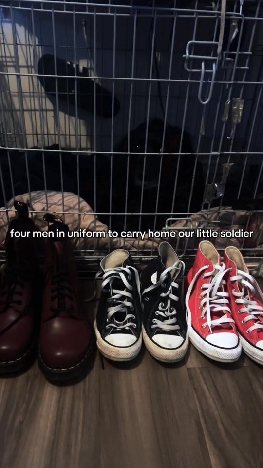 TikTok video thumbnail by everyonelovescoreyy