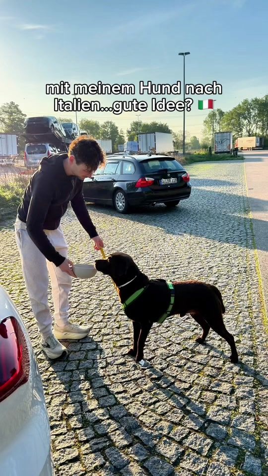 TikTok video thumbnail by sam_labrador