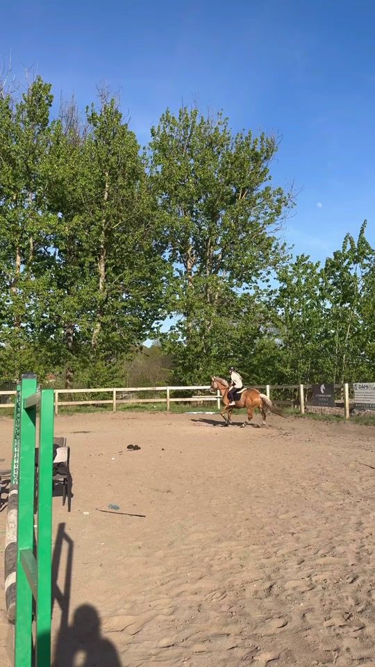 TikTok video thumbnail by drobna.equestrian