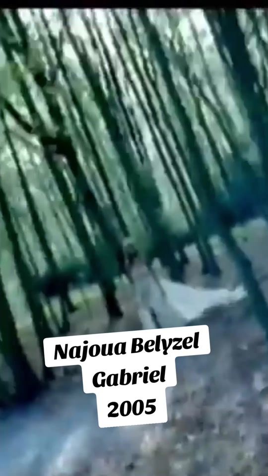 TikTok video thumbnail by michelponcheletphotograp