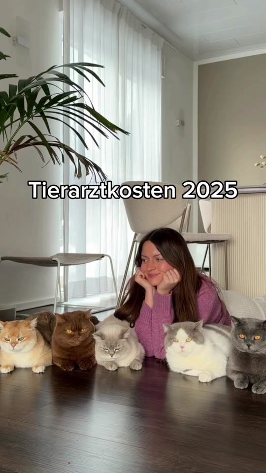 TikTok video thumbnail by sinascolorcats