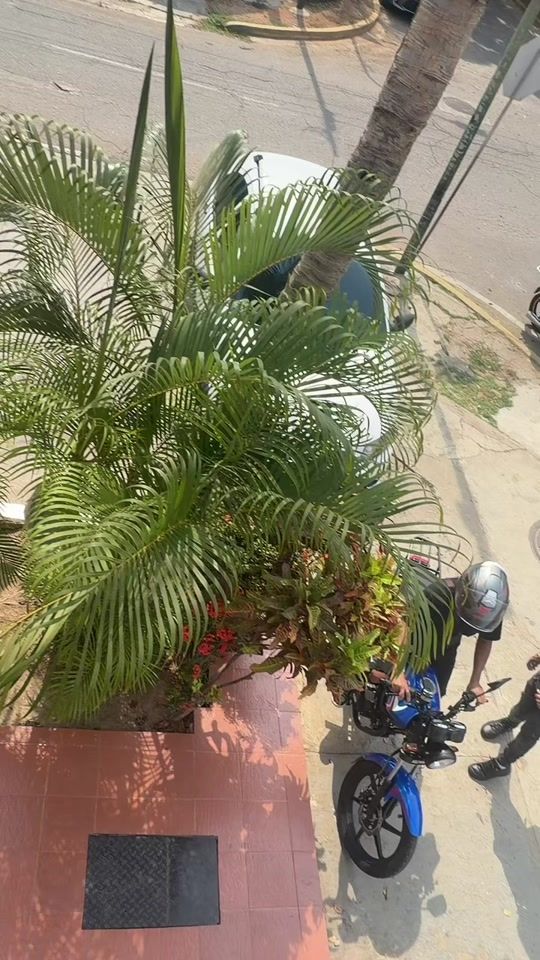 TikTok video thumbnail by lamonachuky7