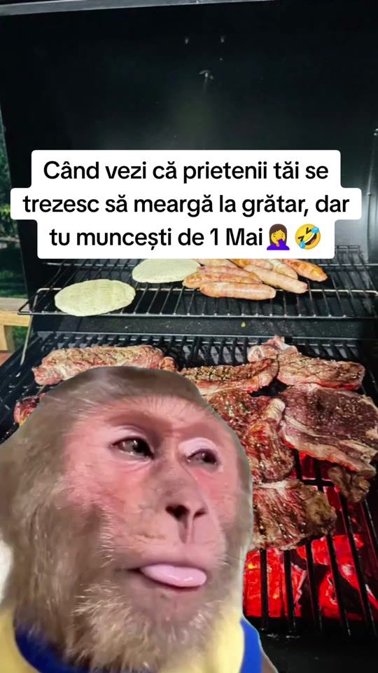 TikTok video thumbnail by filote_adina
