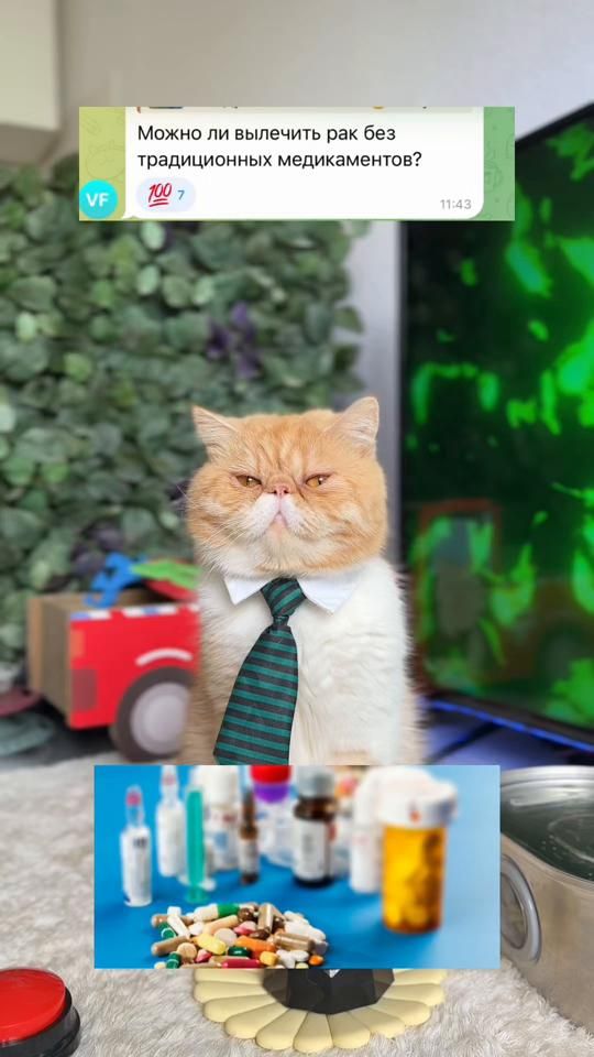 TikTok video thumbnail by hariton.cat