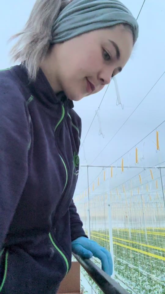 TikTok video thumbnail by ismigyull