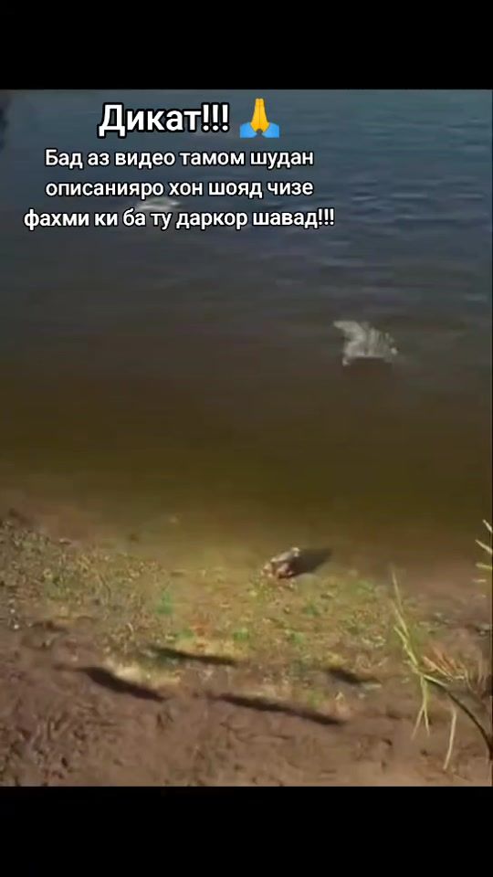 TikTok video thumbnail by amirjon.9090
