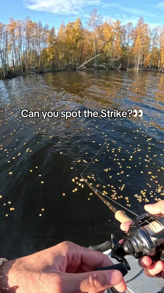 TikTok video thumbnail by fishtalestok