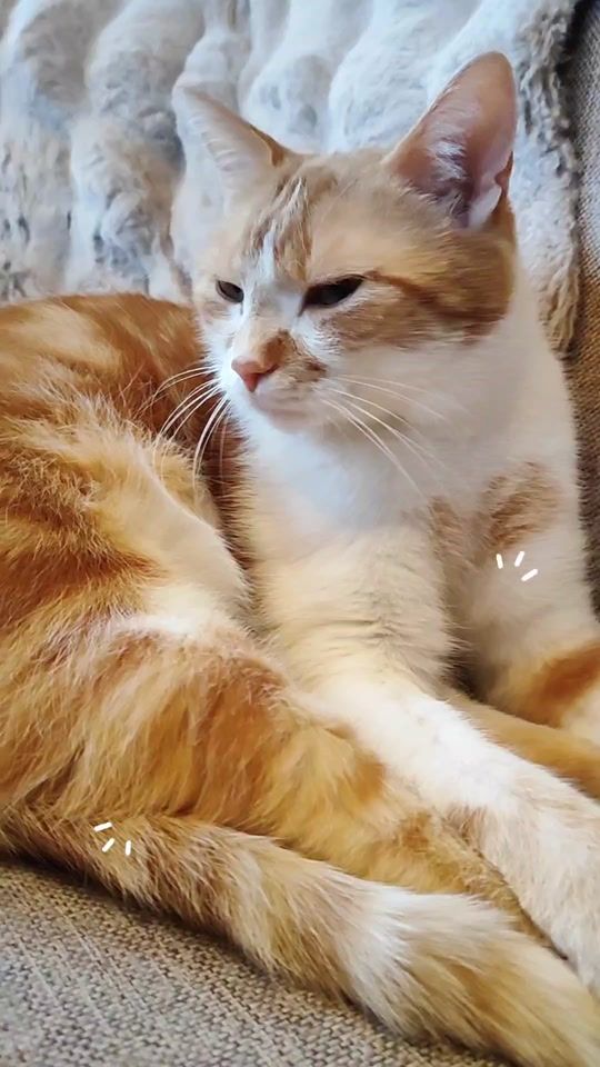 TikTok video thumbnail by _hejdine_