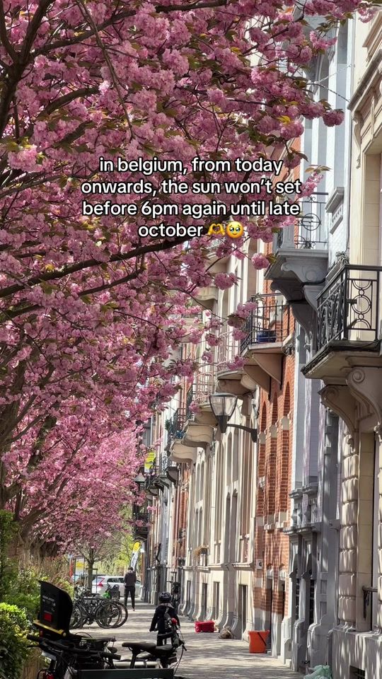 TikTok video thumbnail by thetinynomad