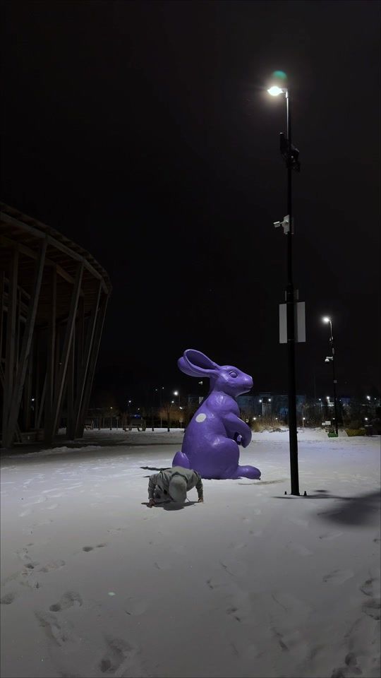 TikTok video thumbnail by venefiqux
