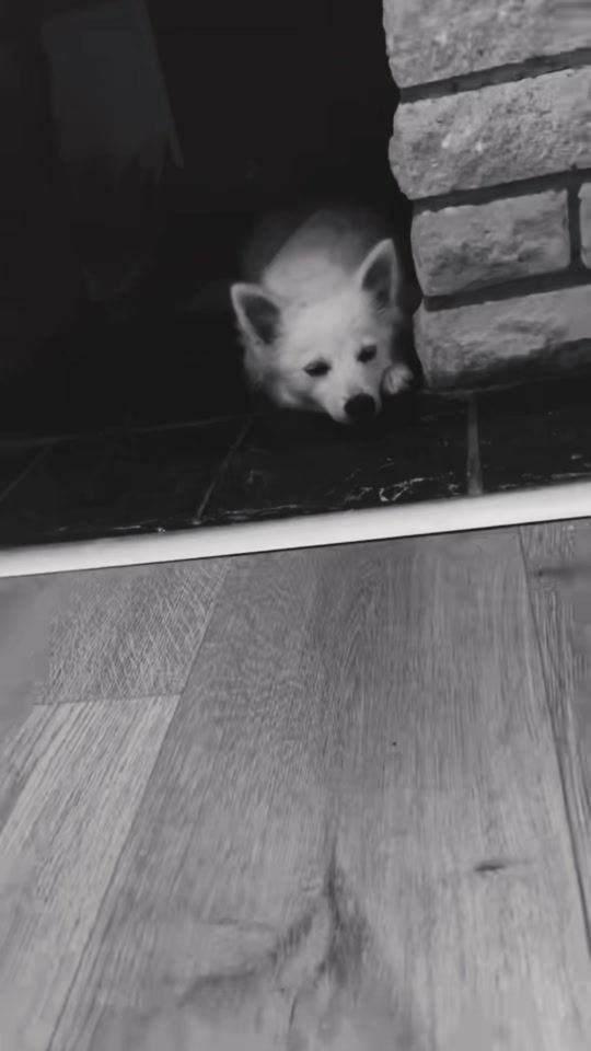 TikTok video thumbnail by momo.123498