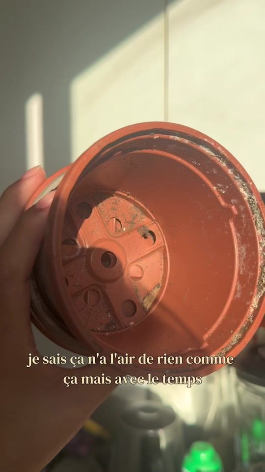 TikTok video thumbnail by fousdeplantes