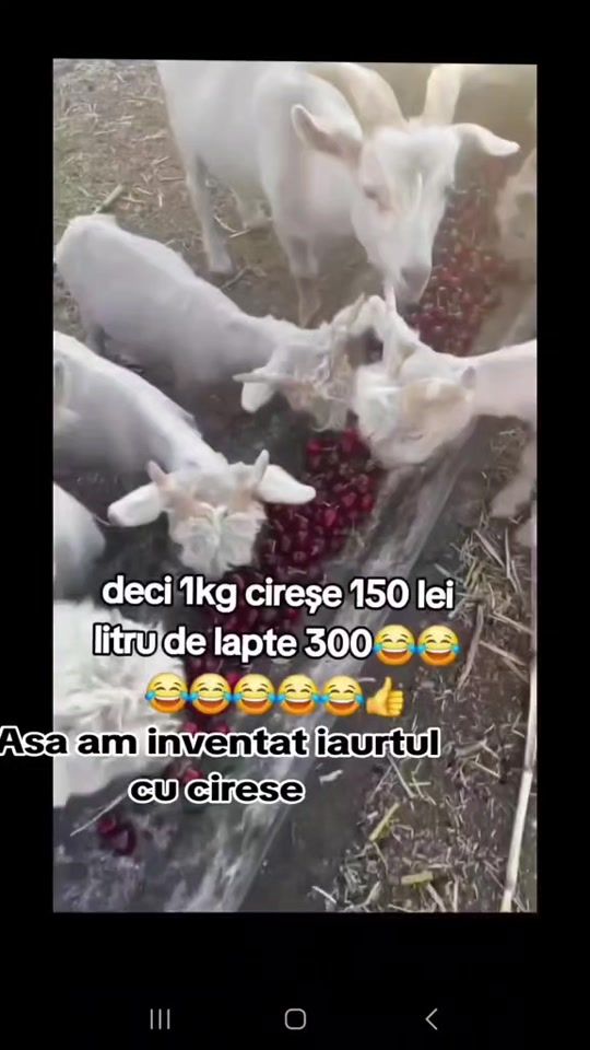 TikTok video thumbnail by razvan..zzz.z