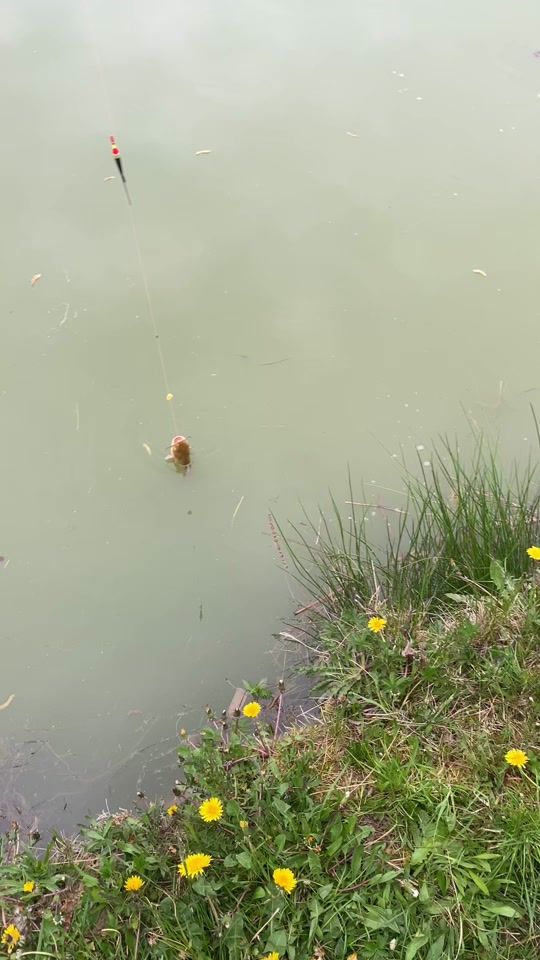TikTok video thumbnail by v1tolin0_fishing