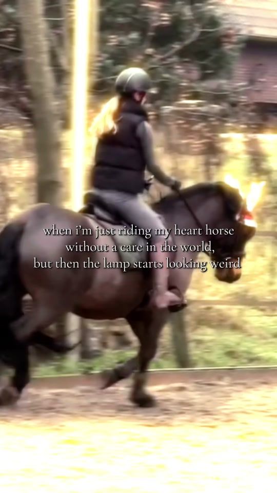 TikTok video thumbnail by veerlestofferhorses