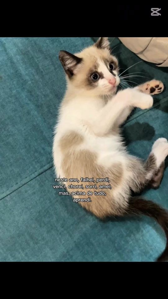 TikTok video thumbnail by dianacruz523