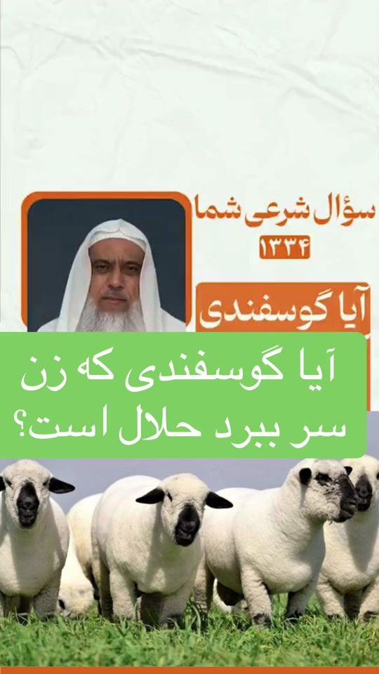 TikTok video thumbnail by omar.jan47