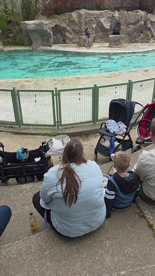 TikTok video thumbnail by diiferrer