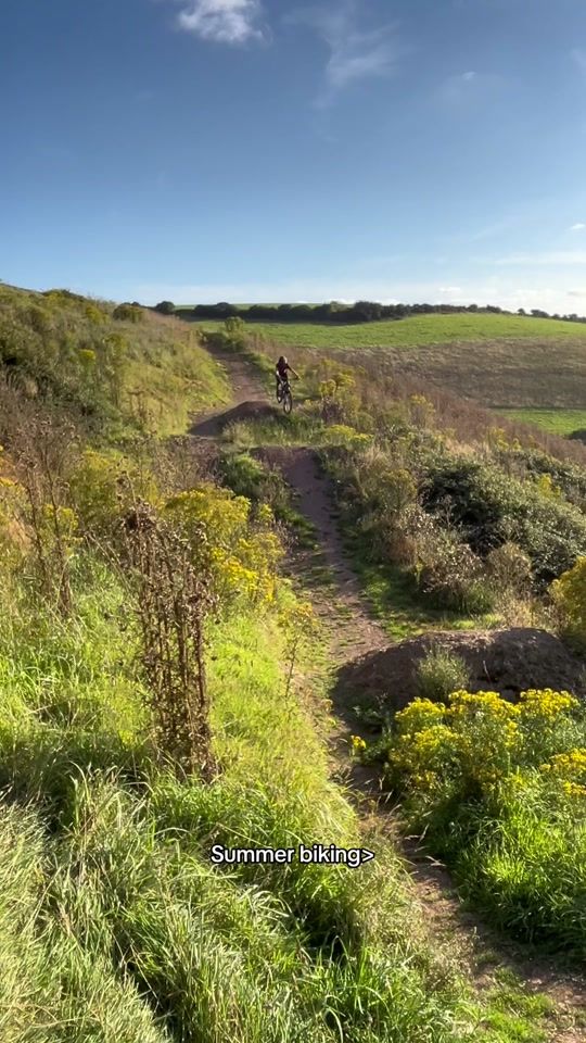 TikTok video thumbnail by brynappleton