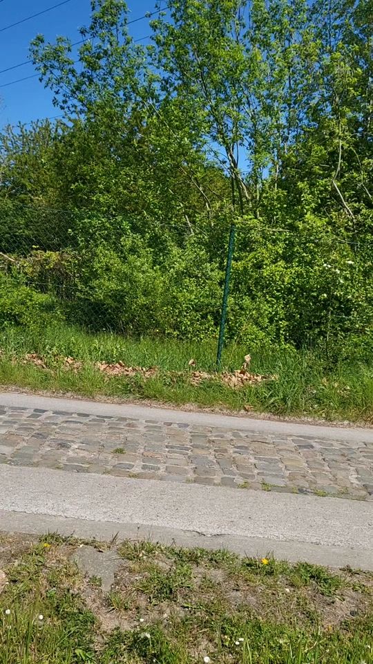 TikTok video thumbnail by fatima257878