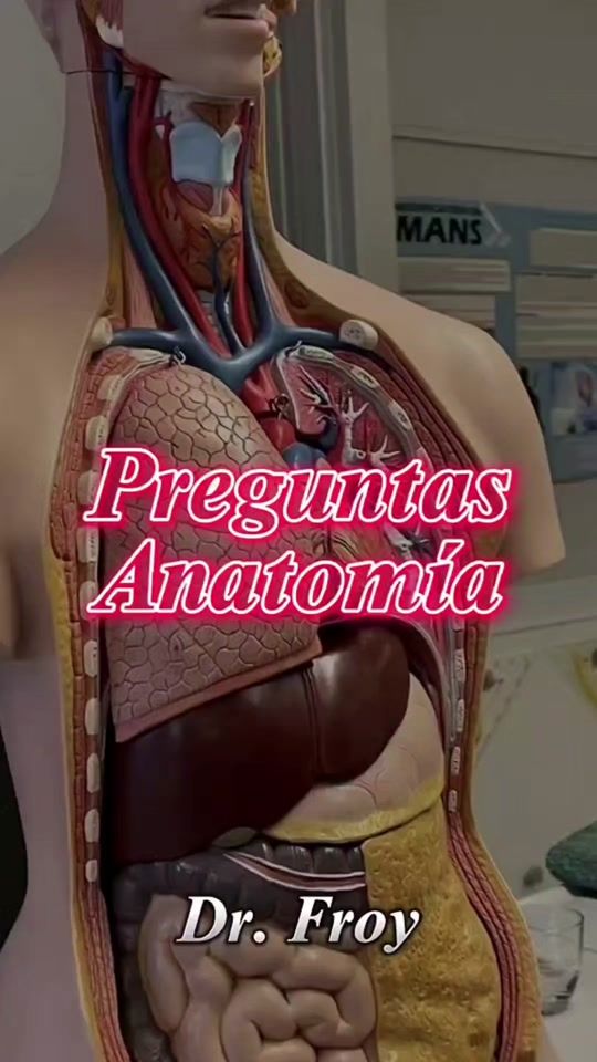TikTok video thumbnail by doctorfroy