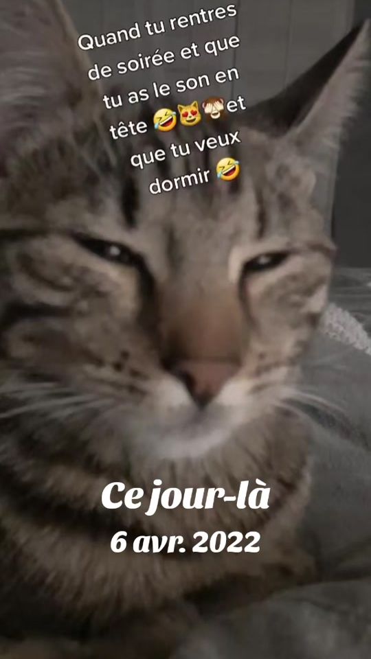 TikTok video thumbnail by papillonrose09