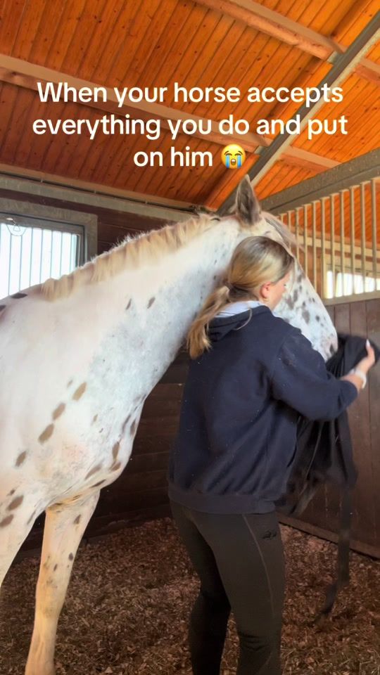 TikTok video thumbnail by avaconnershowjumping